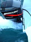 SWIMM'CAT est motorisé par MERCURY